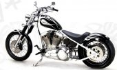 2009 BMC Choppers Hooligan 541 photo